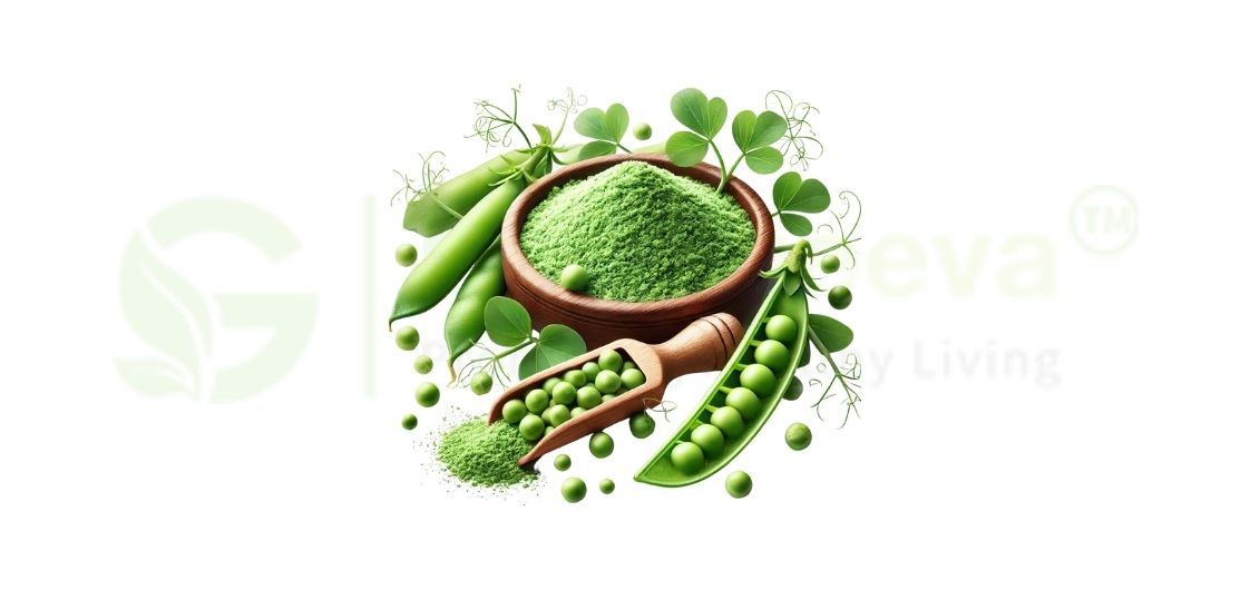 sprouted green pea seed powder